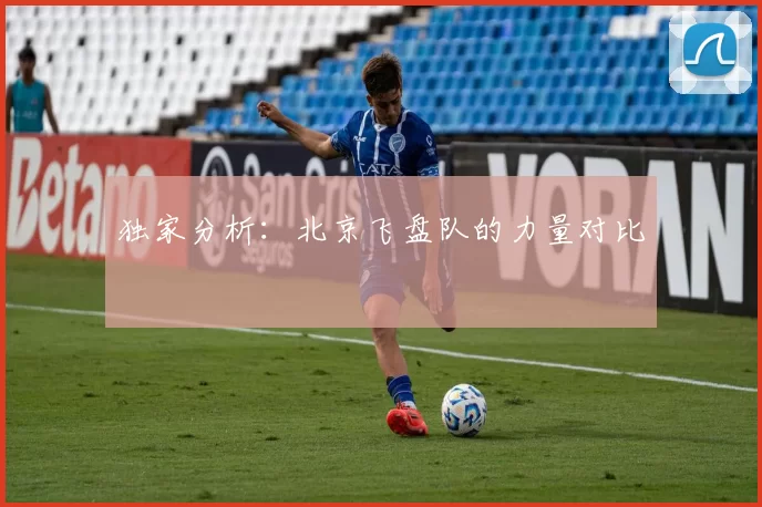 独家分析：北京飞盘队的力量对比