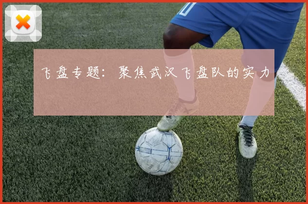 飞盘专题：聚焦武汉飞盘队的实力