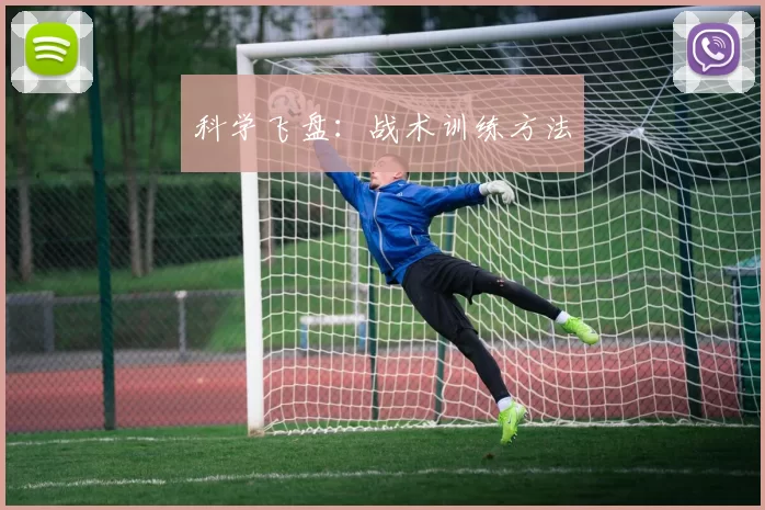 科学飞盘：战术训练方法