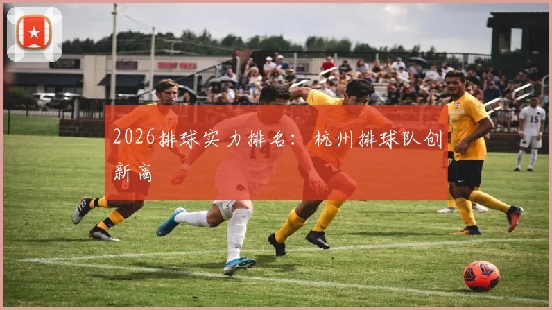 2026排球实力排名：杭州排球队创新高
