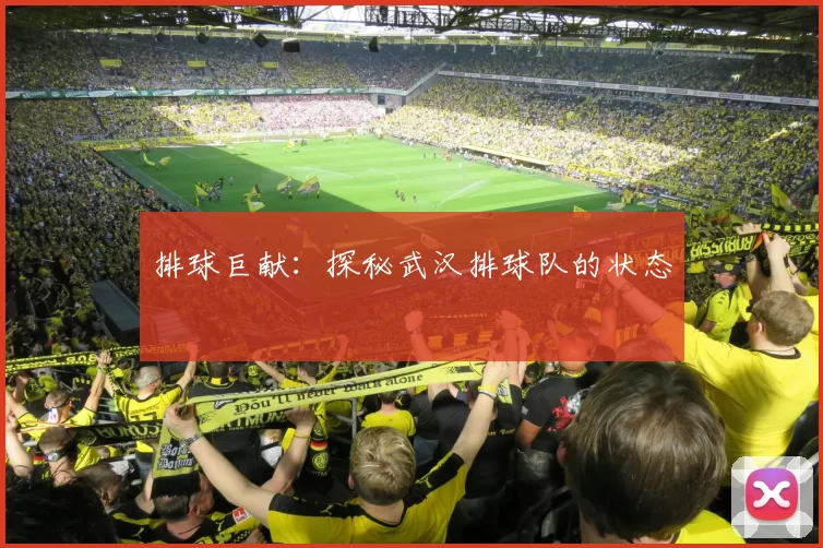 排球巨献：探秘武汉排球队的状态