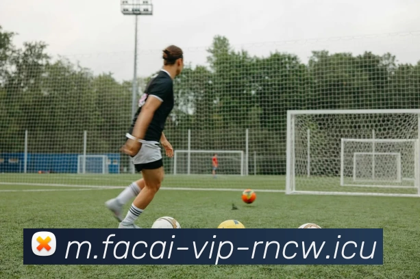 乐鱼体育平台生态图